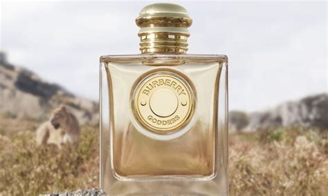 burberry profumo bambino|burberry nuovo profumo.